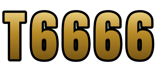 bdt6666.info Logo